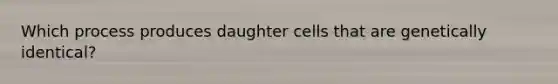 Which process produces daughter cells that are genetically identical?