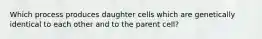 Which process produces daughter cells which are genetically identical to each other and to the parent cell?