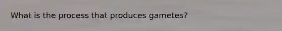 What is the process that produces gametes?