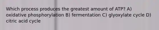 Which process produces the greatest amount of ATP? A) oxidative phosphorylation B) fermentation C) glyoxylate cycle D) citric acid cycle