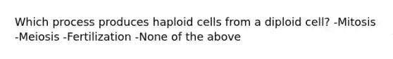 Which process produces haploid cells from a diploid cell? -Mitosis -Meiosis -Fertilization -None of the above