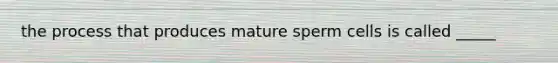 the process that produces mature sperm cells is called _____