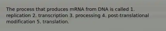 The process that produces mRNA from DNA is called 1. replication 2. transcription 3. processing 4. post-translational modification 5. translation.