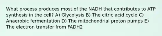 What process produces most of the NADH that contributes to ATP synthesis in the cell? A) Glycolysis B) The citric acid cycle C) Anaerobic fermentation D) The mitochondrial proton pumps E) The electron transfer from FADH2