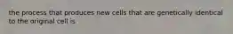 the process that produces new cells that are genetically identical to the original cell is