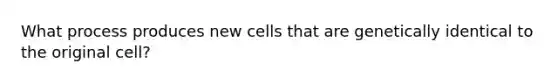 What process produces new cells that are genetically identical to the original cell?