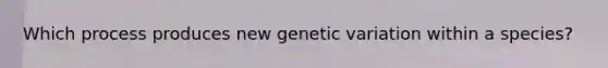 Which process produces new genetic variation within a species?