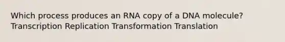 Which process produces an RNA copy of a DNA molecule? Transcription Replication Transformation Translation