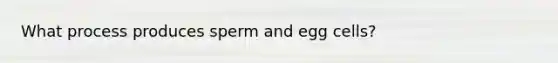 What process produces sperm and egg cells?