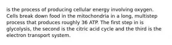 is the process of producing cellular energy involving oxygen. Cells break down food in the mitochondria in a long, multistep process that produces roughly 36 ATP. The first step in is glycolysis, the second is the citric acid cycle and the third is the electron transport system.