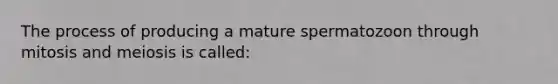 The process of producing a mature spermatozoon through mitosis and meiosis is called: