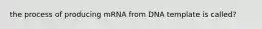 the process of producing mRNA from DNA template is called?