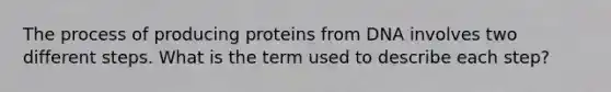 The process of producing proteins from DNA involves two different steps. What is the term used to describe each step?