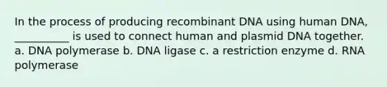 In the process of producing recombinant DNA using human DNA, __________ is used to connect human and plasmid DNA together. a. DNA polymerase b. DNA ligase c. a restriction enzyme d. RNA polymerase