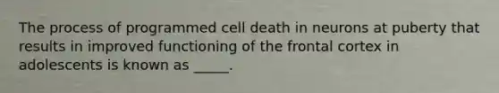 The process of programmed cell death in neurons at puberty that results in improved functioning of the frontal cortex in adolescents is known as _____.