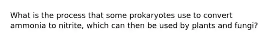 What is the process that some prokaryotes use to convert ammonia to nitrite, which can then be used by plants and fungi?