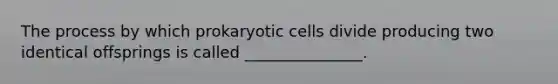 The process by which prokaryotic cells divide producing two identical offsprings is called _______________.