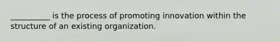 __________ is the process of promoting innovation within the structure of an existing organization.