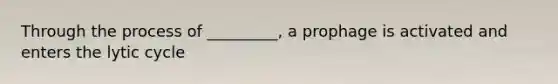 Through the process of _________, a prophage is activated and enters the lytic cycle