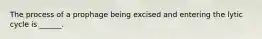 The process of a prophage being excised and entering the lytic cycle is ______.
