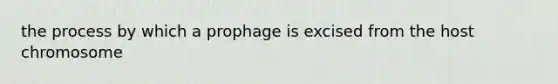 the process by which a prophage is excised from the host chromosome