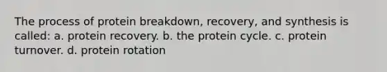 The process of protein breakdown, recovery, and synthesis is called: a. protein recovery. b. the protein cycle. c. protein turnover. d. protein rotation