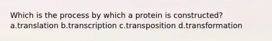 Which is the process by which a protein is constructed? a.translation b.transcription c.transposition d.transformation