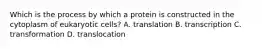 Which is the process by which a protein is constructed in the cytoplasm of eukaryotic cells? A. translation B. transcription C. transformation D. translocation