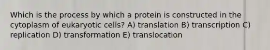 Which is the process by which a protein is constructed in the cytoplasm of eukaryotic cells? A) translation B) transcription C) replication D) transformation E) translocation