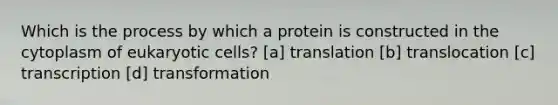 Which is the process by which a protein is constructed in the cytoplasm of eukaryotic cells? [a] translation [b] translocation [c] transcription [d] transformation