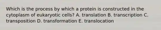 Which is the process by which a protein is constructed in the cytoplasm of eukaryotic cells? A. translation B. transcription C. transposition D. transformation E. translocation