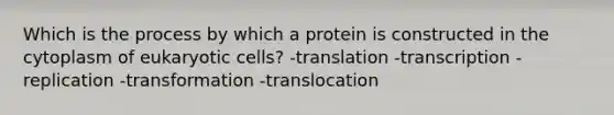 Which is the process by which a protein is constructed in the cytoplasm of eukaryotic cells? -translation -transcription -replication -transformation -translocation