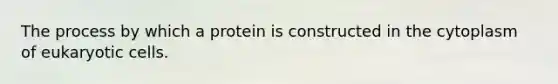 The process by which a protein is constructed in the cytoplasm of eukaryotic cells.