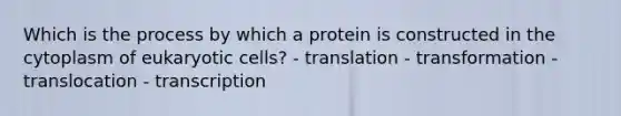 Which is the process by which a protein is constructed in the cytoplasm of eukaryotic cells? - translation - transformation - translocation - transcription