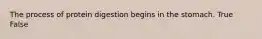 The process of protein digestion begins in the stomach. True False