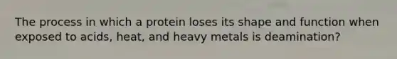 The process in which a protein loses its shape and function when exposed to acids, heat, and heavy metals is deamination?