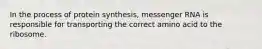 In the process of protein synthesis, messenger RNA is responsible for transporting the correct amino acid to the ribosome.