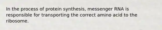 In the process of protein synthesis, messenger RNA is responsible for transporting the correct amino acid to the ribosome.