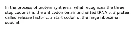 In the process of <a href='https://www.questionai.com/knowledge/kVyphSdCnD-protein-synthesis' class='anchor-knowledge'>protein synthesis</a>, what recognizes the three stop codons? a. the anticodon on an uncharted tRNA b. a protein called release factor c. a start codon d. the large ribosomal subunit