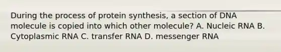 During the process of <a href='https://www.questionai.com/knowledge/kVyphSdCnD-protein-synthesis' class='anchor-knowledge'>protein synthesis</a>, a section of DNA molecule is copied into which other molecule? A. Nucleic RNA B. Cytoplasmic RNA C. <a href='https://www.questionai.com/knowledge/kYREgpZMtc-transfer-rna' class='anchor-knowledge'>transfer rna</a> D. <a href='https://www.questionai.com/knowledge/kDttgcz0ig-messenger-rna' class='anchor-knowledge'>messenger rna</a>