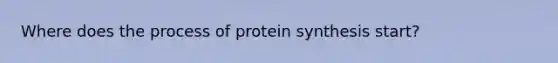 Where does the process of protein synthesis start?