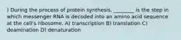 ) During the process of protein synthesis, ________ is the step in which messenger RNA is decoded into an amino acid sequence at the cell's ribosome. A) transcription B) translation C) deamination D) denaturation