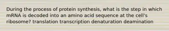 During the process of protein synthesis, what is the step in which mRNA is decoded into an amino acid sequence at the cell's ribosome? translation transcription denaturation deamination