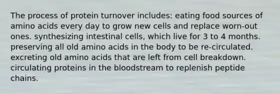 The process of protein turnover includes:​ ​eating food sources of amino acids every day to grow new cells and replace worn-out ones. ​synthesizing intestinal cells, which live for 3 to 4 months. ​preserving all old amino acids in the body to be re-circulated. ​excreting old amino acids that are left from cell breakdown. ​circulating proteins in the bloodstream to replenish peptide chains.