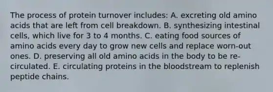 The process of protein turnover includes: A. excreting old amino acids that are left from cell breakdown. B. synthesizing intestinal cells, which live for 3 to 4 months. C. eating food sources of amino acids every day to grow new cells and replace worn-out ones. D. preserving all old amino acids in the body to be re-circulated. E. circulating proteins in the bloodstream to replenish peptide chains.