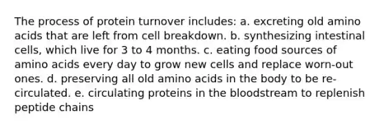 The process of protein turnover includes: a. excreting old amino acids that are left from cell breakdown. b. synthesizing intestinal cells, which live for 3 to 4 months. c. eating food sources of amino acids every day to grow new cells and replace worn-out ones. d. preserving all old amino acids in the body to be re-circulated. e. circulating proteins in the bloodstream to replenish peptide chains