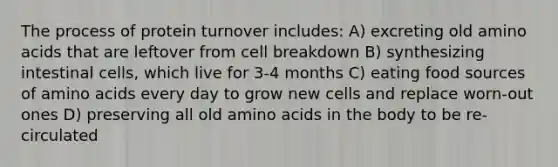 The process of protein turnover includes: A) excreting old amino acids that are leftover from cell breakdown B) synthesizing intestinal cells, which live for 3-4 months C) eating food sources of amino acids every day to grow new cells and replace worn-out ones D) preserving all old amino acids in the body to be re-circulated