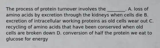 The process of protein turnover involves the ________. A. loss of amino acids by excretion through the kidneys when cells die B. excretion of intracellular working proteins as old cells wear out C. recycling of amino acids that have been conserved when old cells are broken down D. conversion of half the protein we eat to glucose for energy