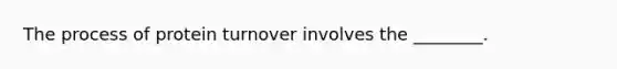 The process of protein turnover involves the ________.