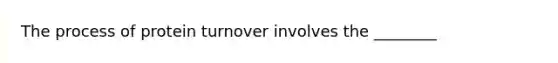 The process of protein turnover involves the ________